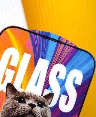 Защитное стекло Mr.Cat Anti-Static для iPhone 12/iPhone 12 Pro Black