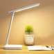 Настольная лампа Epic Home Design Standart 2212 500mHa White/Белая