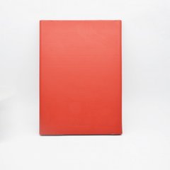 Чехол книжка Lenovo A10-30 10.1" N D Red