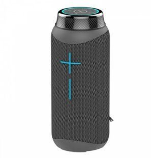 Портативна колонка Bluetooth Hopestar P19 Gray