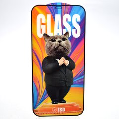 Захисне скло Mr.Cat Anti-Static для iPhone 12 Pro Max Black