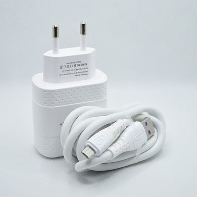 Мережевий зарядний пристрій ANSTY Q-036-A з Micro USB кабелем 1USB 3.1A 18W White