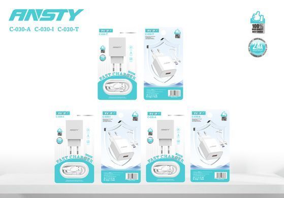 Мережевий зарядний пристрій ANSTY C-030-A with Micro USB cable 2.4A 1 USB Білий