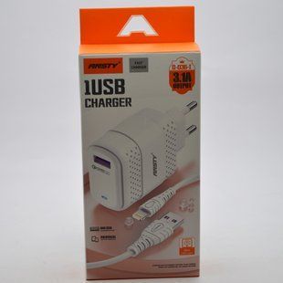 Сетевое зарядное устройство ANSTY Q-036-I с Lightning кабелем 1USB 3.1A 18W White