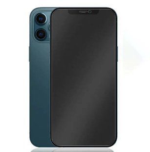 Захисне скло Samurai Anti-Static Matte для iPhone 13/iPhone 13 Pro/iPhone 14 Black