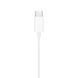 Гарнітура провідна Apple EarPods (Type-C connector) (MTJY3) White (Білий) HC