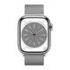 Ремінець Wiwu Wi-WB005 для Apple Watch 42mm/44mm/45mm/49mm Silver (Срібний)