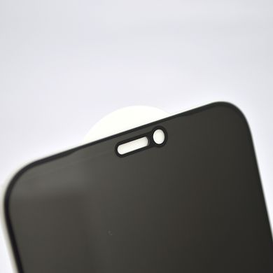 Защитное стекло (антишпион) Privacy 5D для iPhone 12/iPhone 12 Pro Black (тех.пак.)