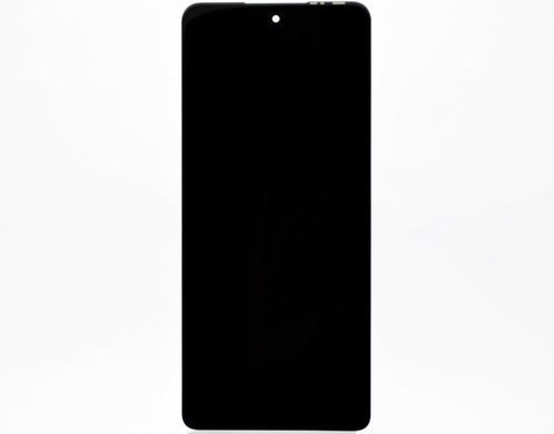 Дисплей (экран) LCD Infinix Hot 40/Hot 40 Pro/Tecno Spark 20 Pro с touchscreen Black Original