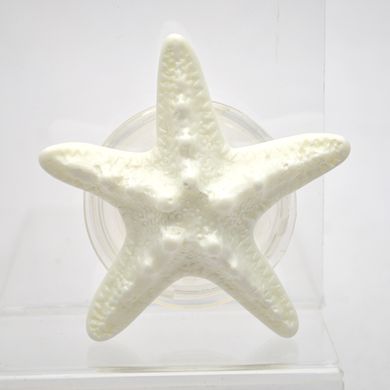 Универсальный держатель для телефона PopSocket (попсокет) Starfish Marine Life