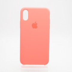 Чехол накладка Silicon Case для iPhone X / iPhone XS 5,8" Watermelon