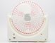 Вентилятор настільний USB FAN Portabe S13 Rose (Рожевий)