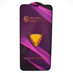 Защитное стекло OG Golden Armor для iPhone X/iPhone Xs/iPhone 11 Pro Black
