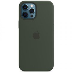 Чехол накладка Silicone Case MagSafe для iPhone 12 Pro Max Cyprus Green
