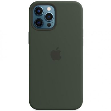 Чехол накладка Silicone Case MagSafe для iPhone 12 Pro Max Cyprus Green