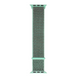 Ремінець нейлоновий для iWatch 38mm/40mm/41mm Nylon Design Turquoise