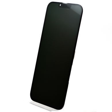 Дисплей (экран) LCD Apple iPhone 13 Pro Max с TouchScreen Black (OLED GX)