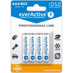 Аккумуляторная батарейка everActive 1000 mAh size AAA