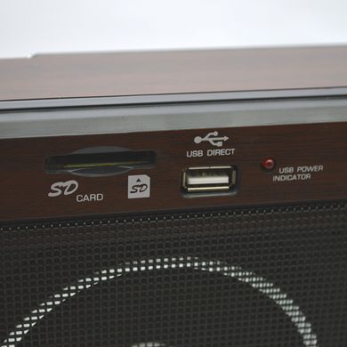 Радіоприймач портативний Golon RX-9966-UAR на батарейках 4 шт R20 (size D)