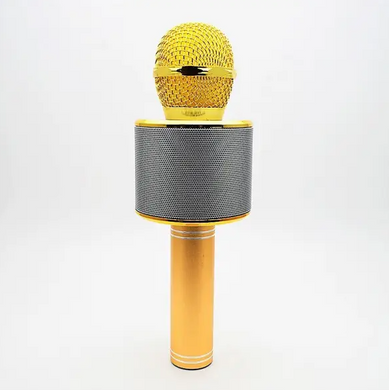 Микрофон колонка Wster WS-858 Gold