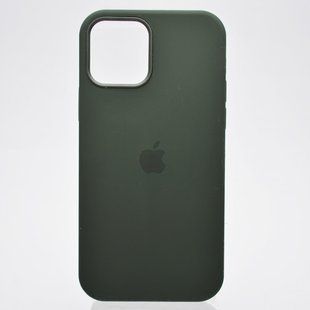 Чехол накладка для iPhone 12/iPhone 12 Pro Original Packing Cyprus Green