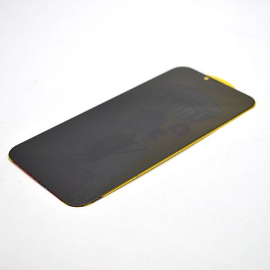 Защитное стекло Pirate Lion Privacy Anti-Dust антишпион Apple iPhone 13 Pro Max/14 Plus (тех.пак)
