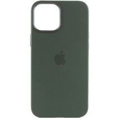 Чехол накладка Silicone Case Full Cover с MagSafe Splash Screen для iPhone 12/12 Pro Cyprus Green(зеленый)