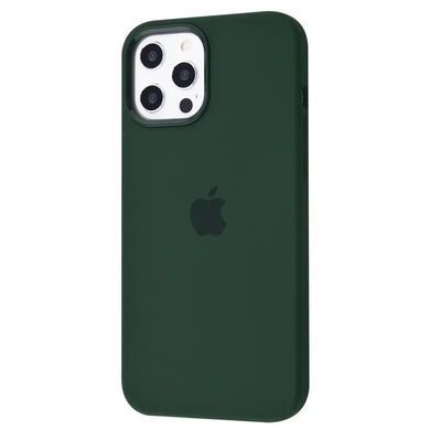 Чохол накладка Silicone Case Full Cover с MagSafe Splash Screen для iPhone 12/12 Pro Cyprus Green(зелений)