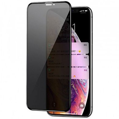 Защитное стекло Privacy Glossy для iPhone 12 Pro Max (тех.пакет)