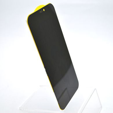 Защитное стекло Pirate Lion Privacy Anti-Dust антишпион Apple iPhone 12/iPhone 12 Pro (тех.пак)