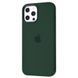 Чохол накладка Silicone Case Full Cover с MagSafe Splash Screen для iPhone 12/12 Pro Cyprus Green(зелений)